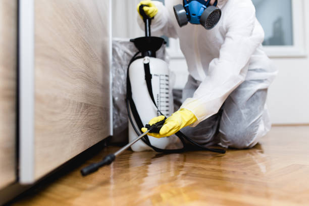 Best Flea Control Services  in Farmland, IN