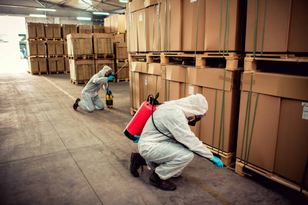 Best Termite Control Services  in Farmland, IN