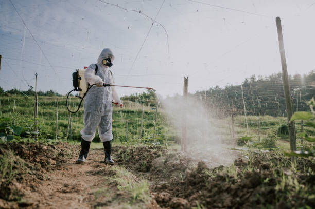 Best Flea Control Services  in Farmland, IN