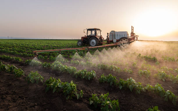 Best Termite Control Services  in Farmland, IN