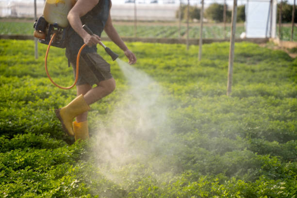 Best Affordable Pest Control Services  in Farmland, IN