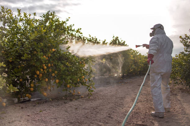 Best Residential Pest Control  in Farmland, IN