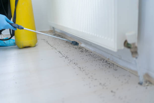 Best Best Pest Control Companies  in Farmland, IN